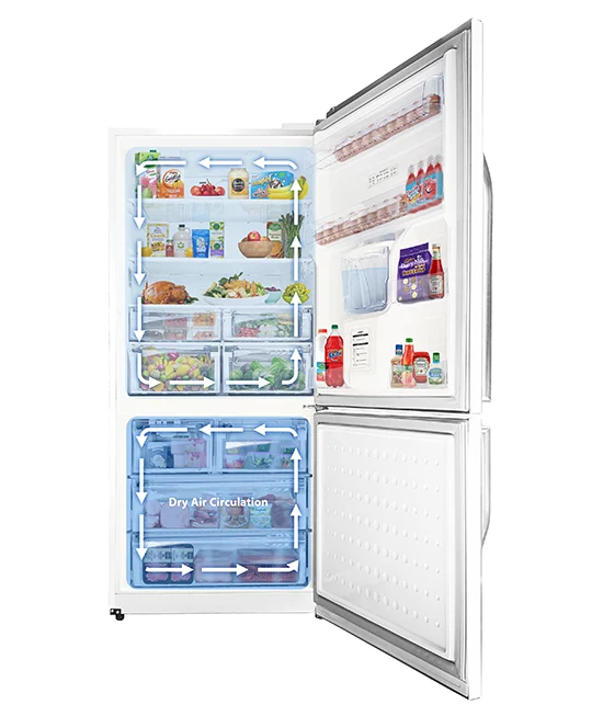 Open white refrigerator with blue arrows showing air circulation around food shelves and dry air circulation in the freezer.