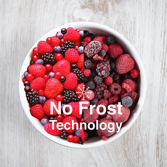 White bowl filled with frosty mixed berries and the overlay text No Frost Technology.