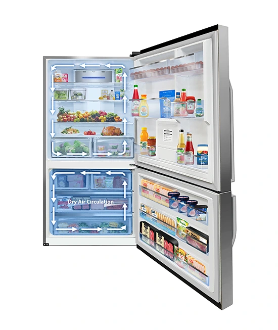 Stainless steel refrigerator interior showing fresh and frozen food storage with blue arrows illustrating the dry air circula