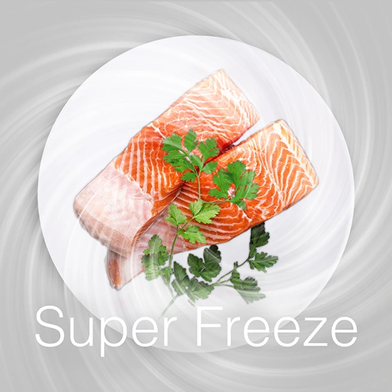 Two raw salmon fillets with green garnish on a white plate showing a frost effect and the text Super Freeze