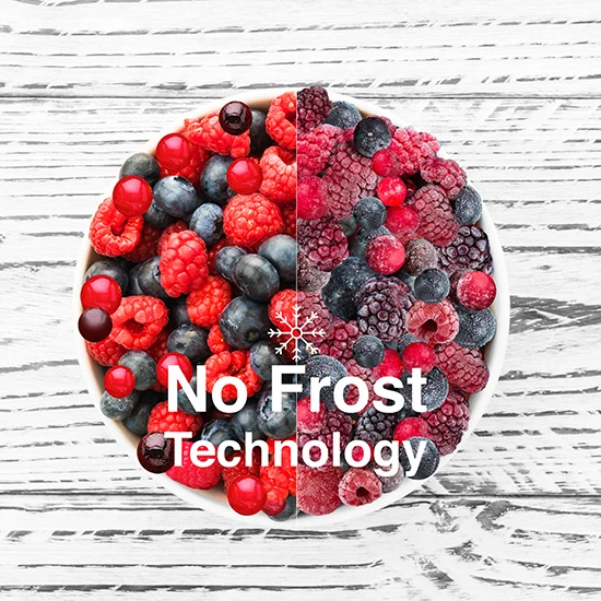 Split bowl of berries showing fresh vs frozen fruit with No Frost Technology text overlay.